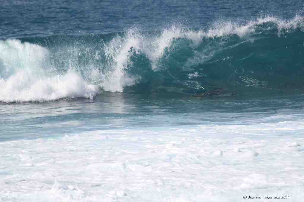 Hawaiian waves