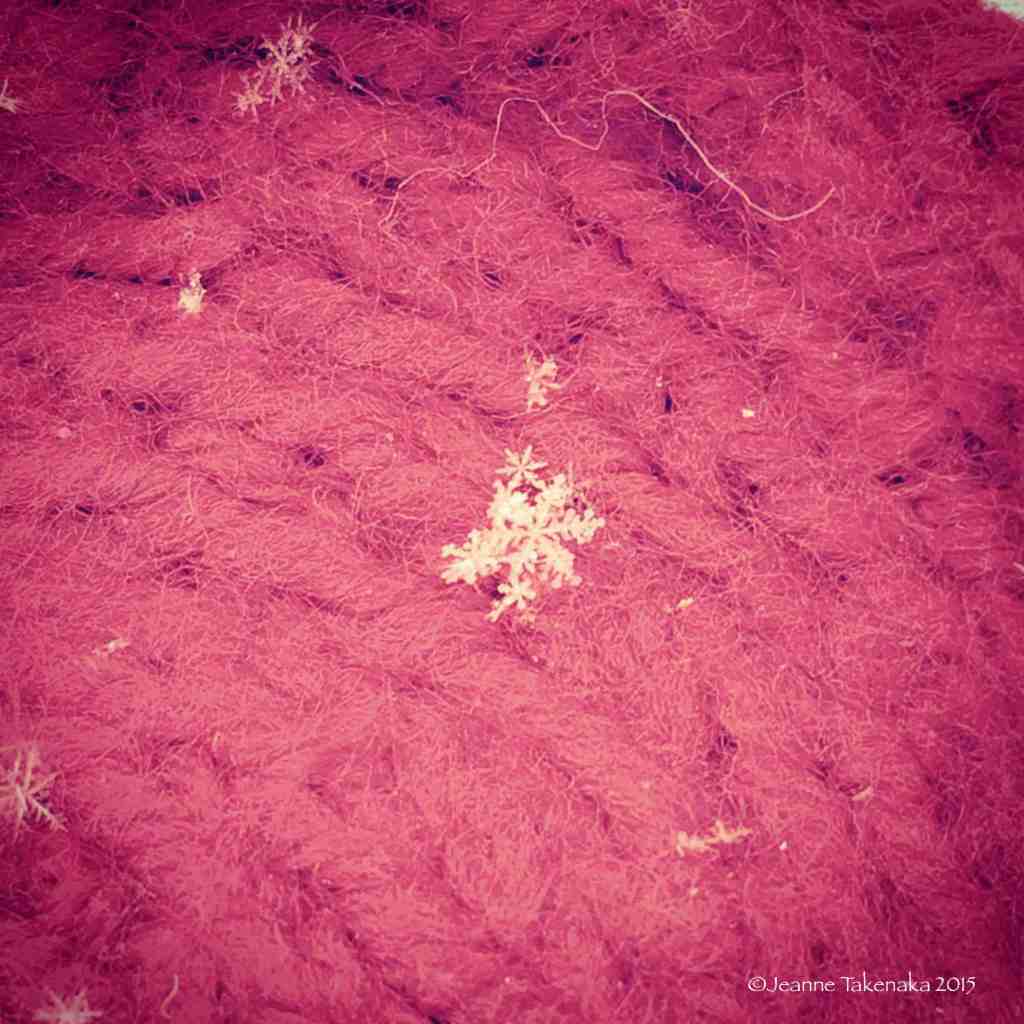 Snowflake on red
