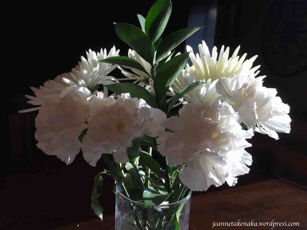 white flowers in sunlight