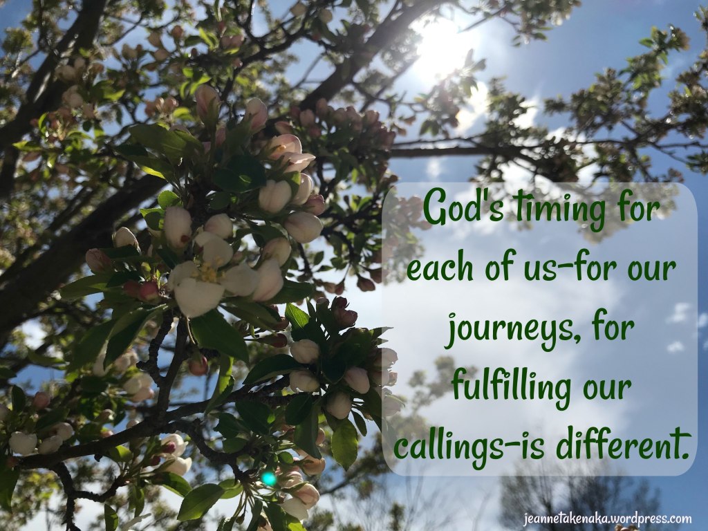 Comparison: God’s Timing “Each of us has a calling, a dream. But the truth is? God’s timing for each of us—for our journeys, for us to fulfill our callings—is different.”